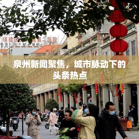 泉州新闻聚焦，城市脉动下的头条热点