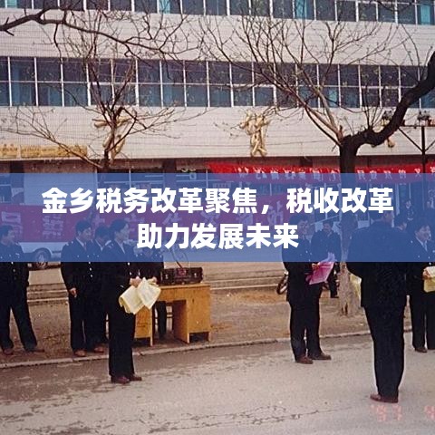 金乡税务改革聚焦，税收改革助力发展未来