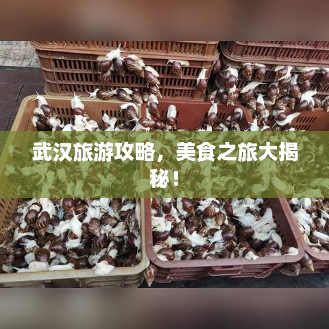 虎视眈眈 第9页