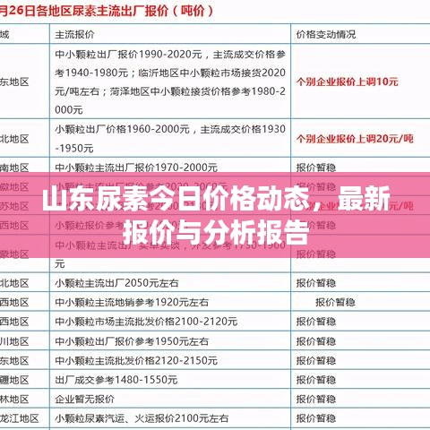 山东尿素今日价格动态，最新报价与分析报告