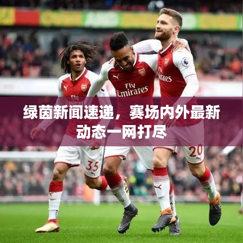 绿茵新闻速递，赛场内外最新动态一网打尽