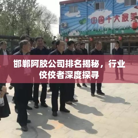 邯郸阿胶公司排名揭秘，行业佼佼者深度探寻