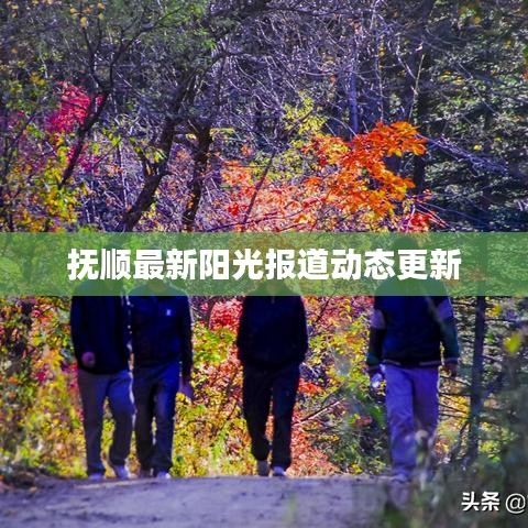 抚顺最新阳光报道动态更新