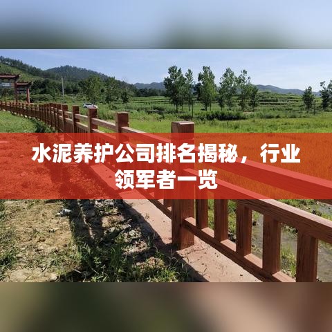 水泥养护公司排名揭秘，行业领军者一览
