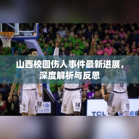 山西校园伤人事件最新进展，深度解析与反思