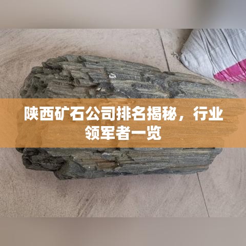 陕西矿石公司排名揭秘，行业领军者一览