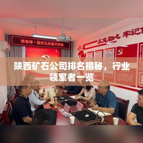 陕西矿石公司排名揭秘,行业领军者一览