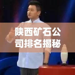 陕西矿石公司排名揭秘,行业领军者一览