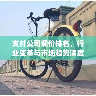 支付公司调价排名，行业变革与市场趋势深度解析