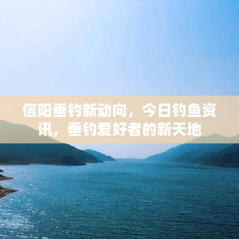 信阳垂钓新动向，今日钓鱼资讯，垂钓爱好者的新天地