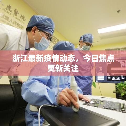 浙江最新疫情动态，今日焦点更新关注