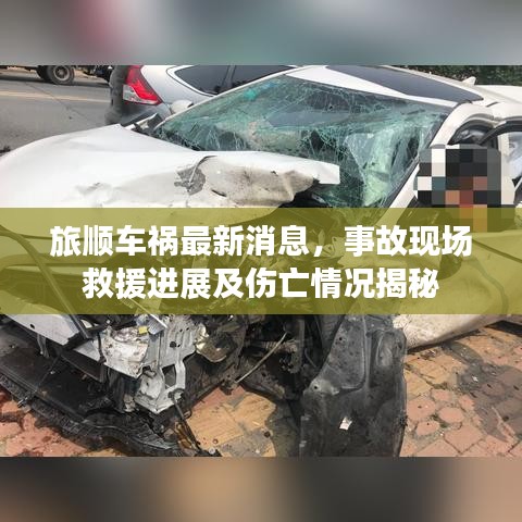 旅顺车祸最新消息，事故现场救援进展及伤亡情况揭秘