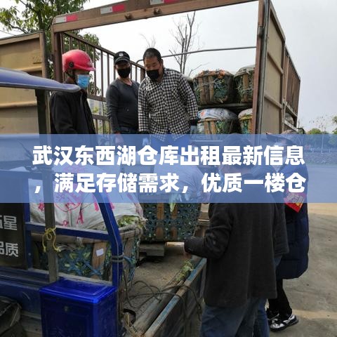 武汉东西湖仓库出租最新信息，满足存储需求，优质一楼仓库任您选择