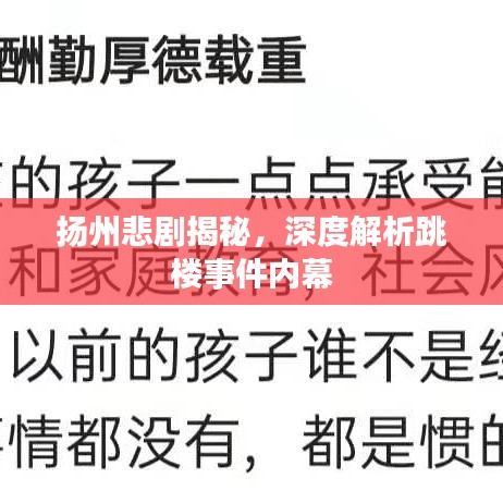 扬州悲剧揭秘，深度解析跳楼事件内幕