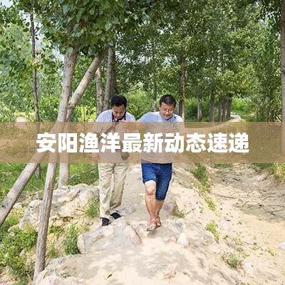 安阳渔洋最新动态速递