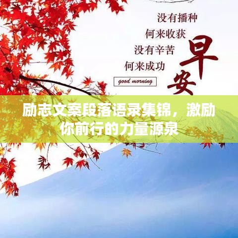 励志文案段落语录集锦，激励你前行的力量源泉