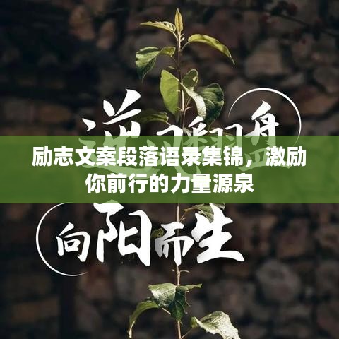 励志文案段落语录集锦,激励你前行的力量源泉