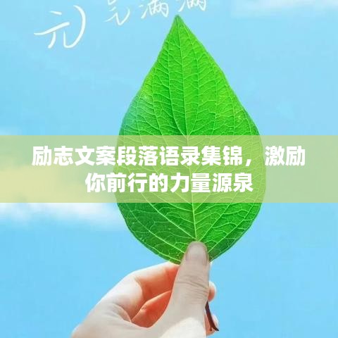 励志文案段落语录集锦,激励你前行的力量源泉