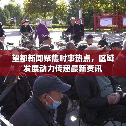 望都新闻聚焦时事热点,区域发展动力传递最新资讯