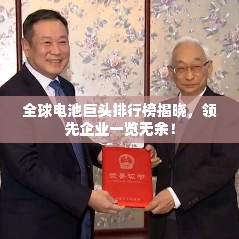 全球电池巨头排行榜揭晓，领先企业一览无余！