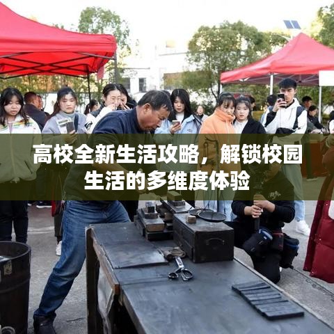 高校全新生活攻略，解锁校园生活的多维度体验