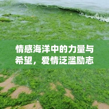 情感海洋中的力量与希望，爱情泛滥励志语录唤起勇气与希望