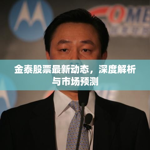 金泰股票最新动态，深度解析与市场预测
