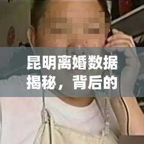 昆明离婚数据揭秘，背后的故事与启示