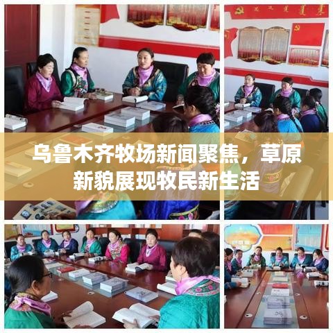 乌鲁木齐牧场新闻聚焦，草原新貌展现牧民新生活