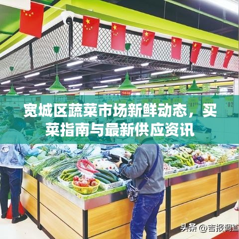 宽城区蔬菜市场新鲜动态，买菜指南与最新供应资讯