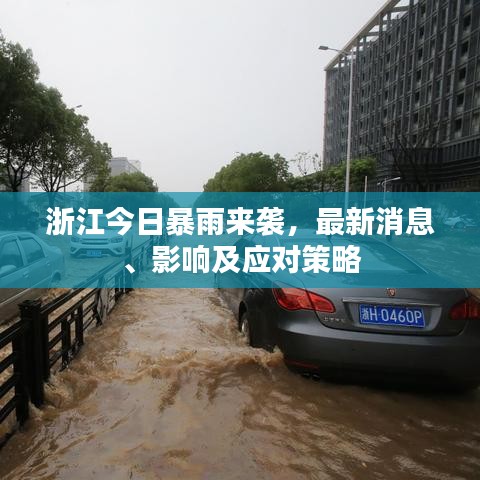 浙江今日暴雨来袭，最新消息、影响及应对策略