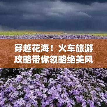 穿越花海！火车旅游攻略带你领略绝美风景之旅