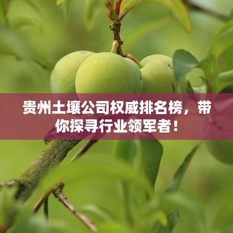 贵州土壤公司权威排名榜，带你探寻行业领军者！