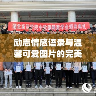 励志情感语录与温馨可爱图片的完美交融