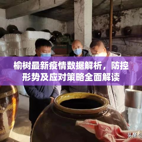 榆树最新疫情数据解析，防控形势及应对策略全面解读