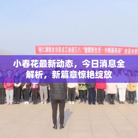 小春花最新动态，今日消息全解析，新篇章惊艳绽放