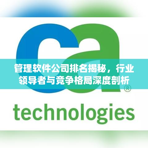 管理软件公司排名揭秘，行业领导者与竞争格局深度剖析