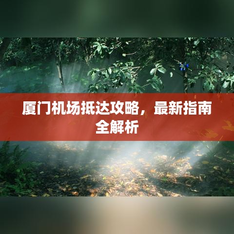 厦门机场抵达攻略，最新指南全解析