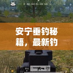 安宁垂钓秘籍，最新钓鱼攻略指南