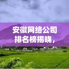 安徽网络公司排名榜揭晓,探寻行业领军者,你不可不知的名单!