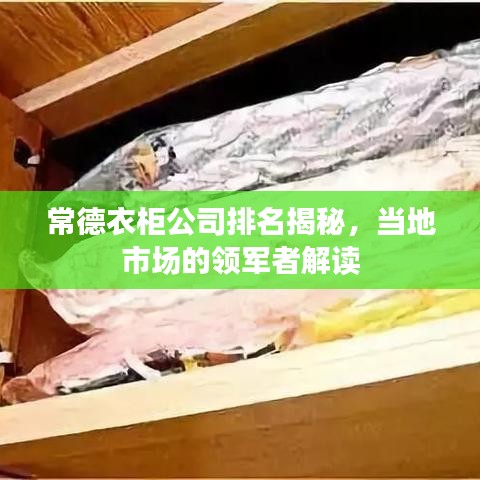 常德衣柜公司排名揭秘，当地市场的领军者解读