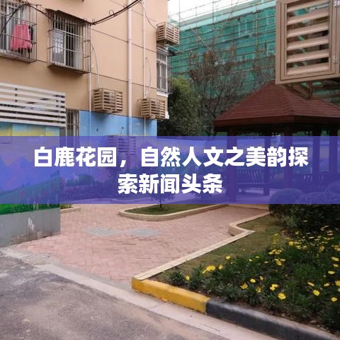 白鹿花园，自然人文之美韵探索新闻头条