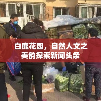 白鹿花园,自然人文之美韵探索新闻头条