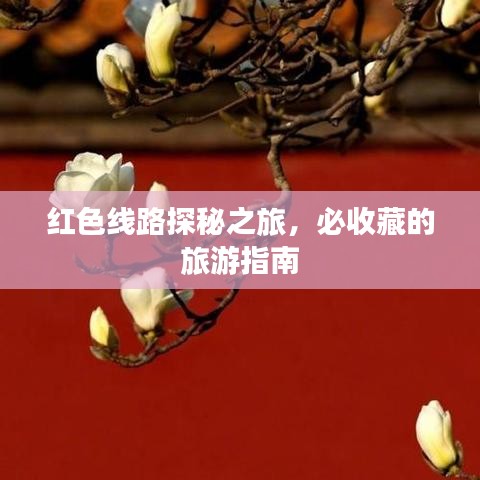 红色线路探秘之旅，必收藏的旅游指南
