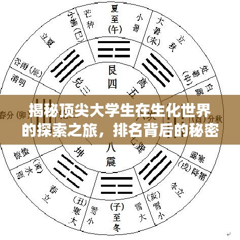 揭秘顶尖大学生在生化世界的探索之旅，排名背后的秘密