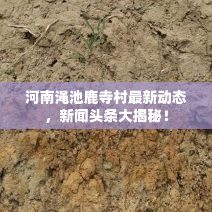 河南渑池鹿寺村最新动态，新闻头条大揭秘！
