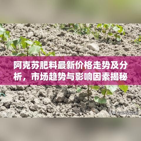 阿克苏肥料最新价格走势及分析，市场趋势与影响因素揭秘