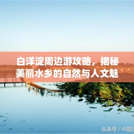 白洋淀周边游攻略，揭秘美丽水乡的自然与人文魅力
