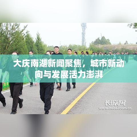 大庆南湖新闻聚焦，城市新动向与发展活力澎湃