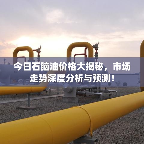 今日石脑油价格大揭秘，市场走势深度分析与预测！